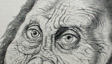 based on a reconstruction by John Gurche,  was drawn by UK artist Edward Foster www.edwardfosterart.co.uk.